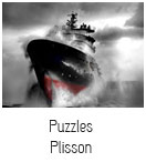 Puzzles Plisson